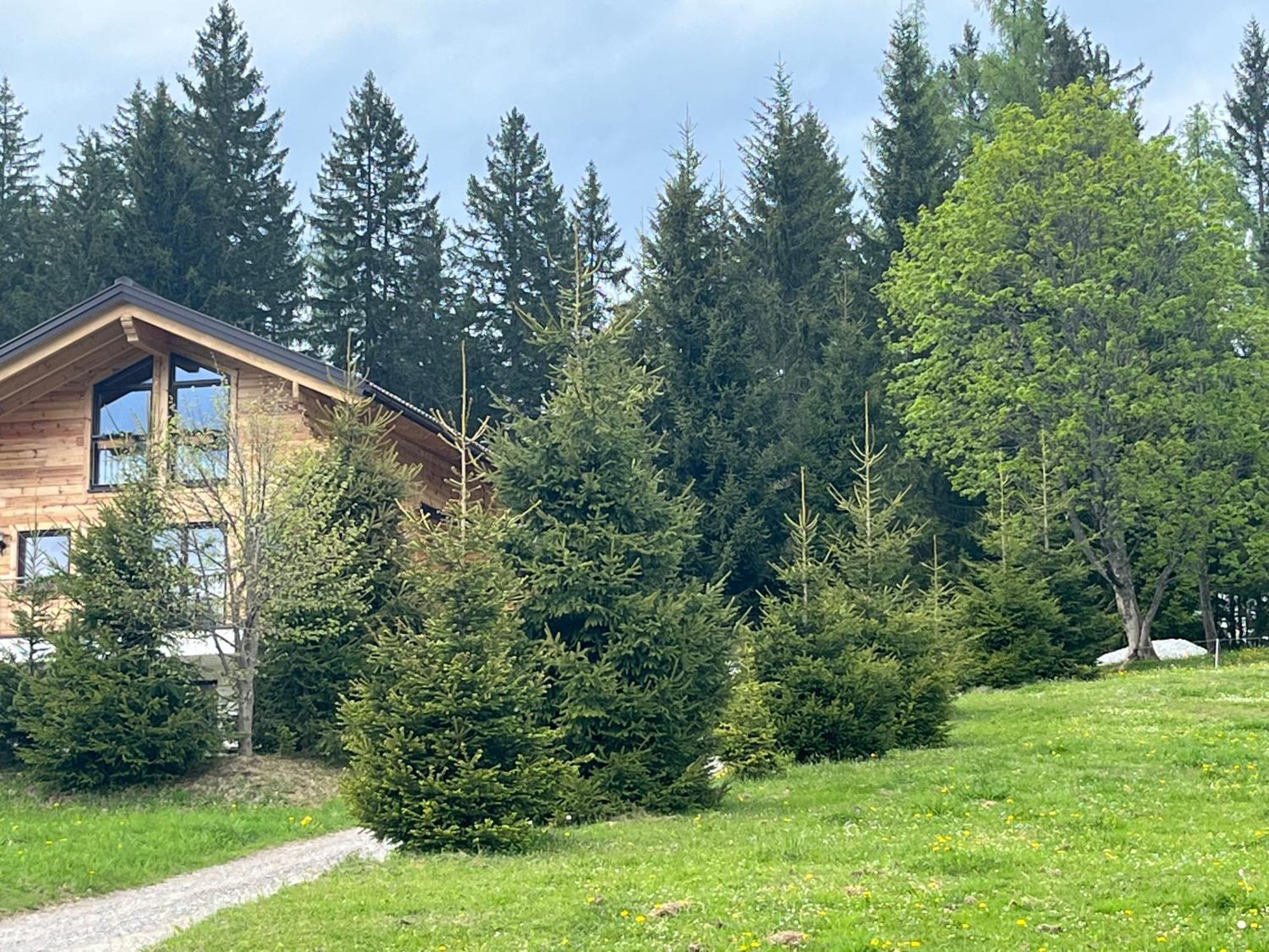 Chalet Bergheimat Wagrain Eksteriør bilde